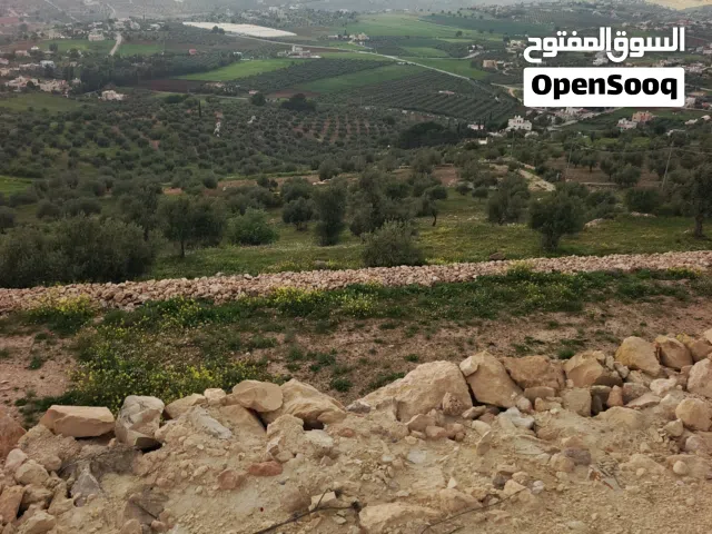 جلعد اطلاله على الغرب مشغوله