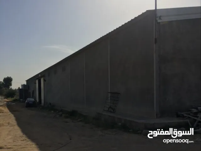 مخزن هنقر مسقوف 1400 متر سقف سنتدوتش