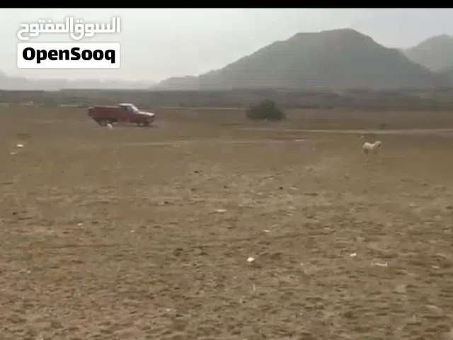 Residential Land for Sale in Red Sea Safaga