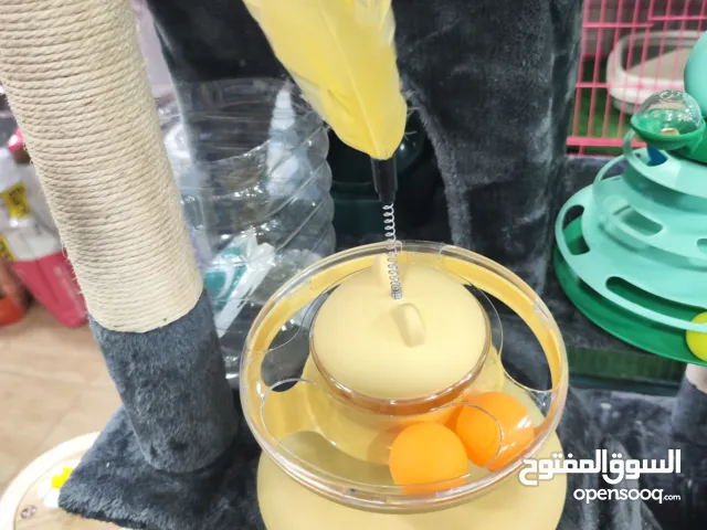 لعبه الزمبرك 2026 من احدث واحلى انواع العاب القطط