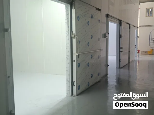 خدمات لوجستيه تخزين مجمد ومبرد وجاف