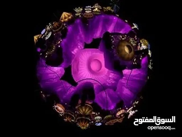 زررالدزنننتا
