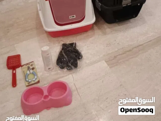 لتر بوكس وبوكس نقل