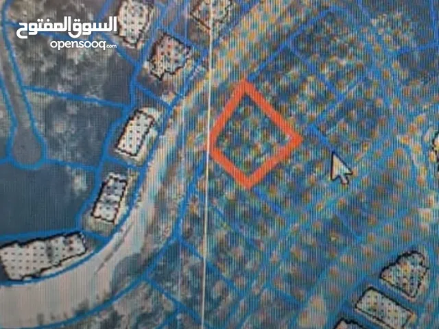 Residential Land for Sale in Ramallah and Al-Bireh Al Tira