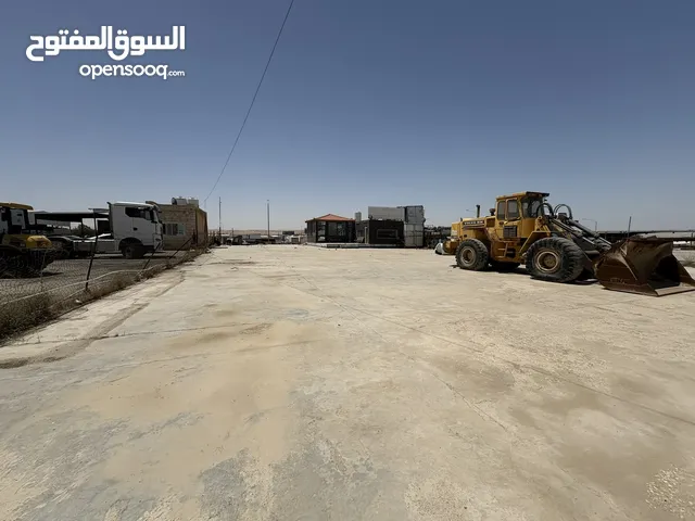 معرض في المنطقة الحرة