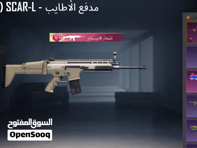 Pubg Accounts and Characters for Sale in Al Batinah