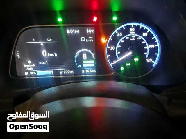 2018, نيسان, ليف, SV
