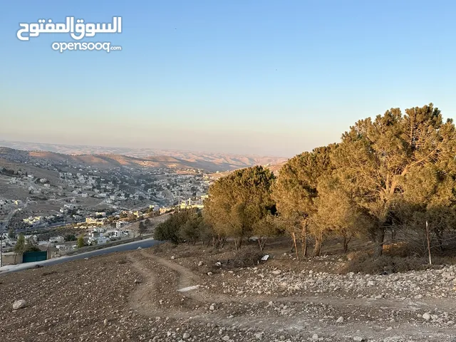 Residential Land for Sale in Zarqa Um Rummanah