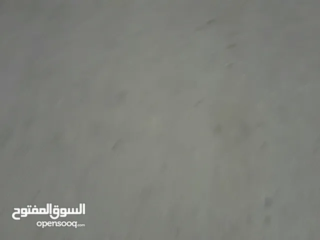 خبز ناشف للمواشي
