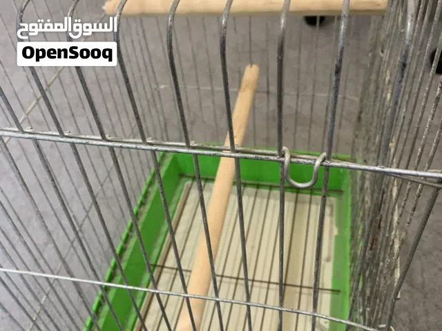قفص ببغاء كاسكو