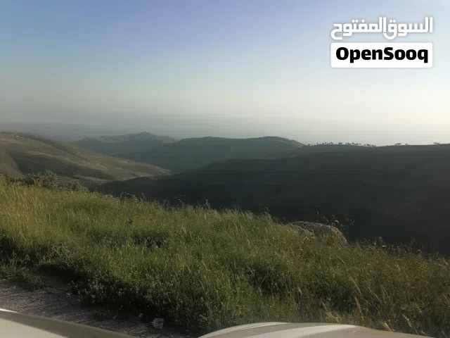 مزرعة 2 دونم للبيع السلط يرقا