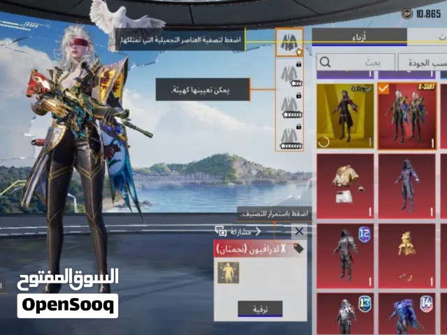 حساب ببجي للبيع بيه مجال