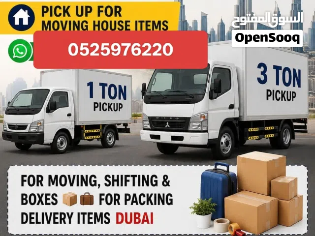 mover UAE professional