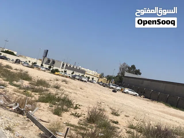 ايجار ارض لي اضاحي العيد