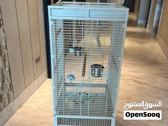 Parrot cage