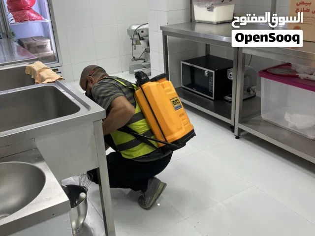 خدمة مكافحة الحشرات - الصراصير  النمل الرمة بق   القوارض الفئران أفاعي العقارب السحالى _pest control