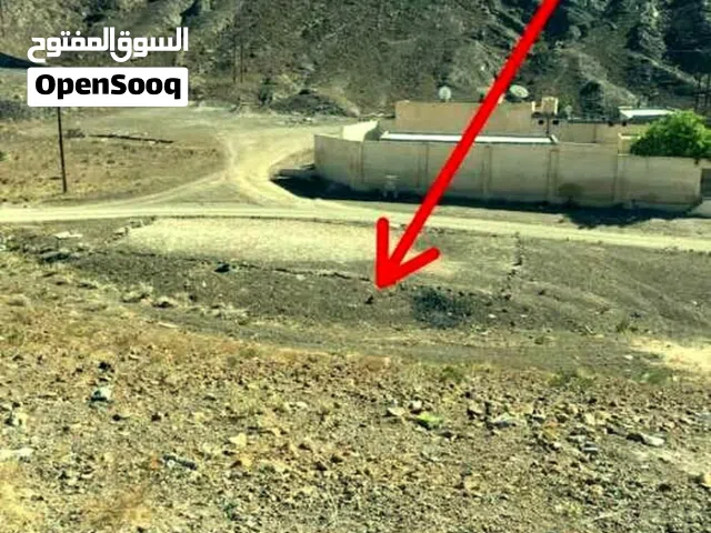 ارض ببلادالشهوم