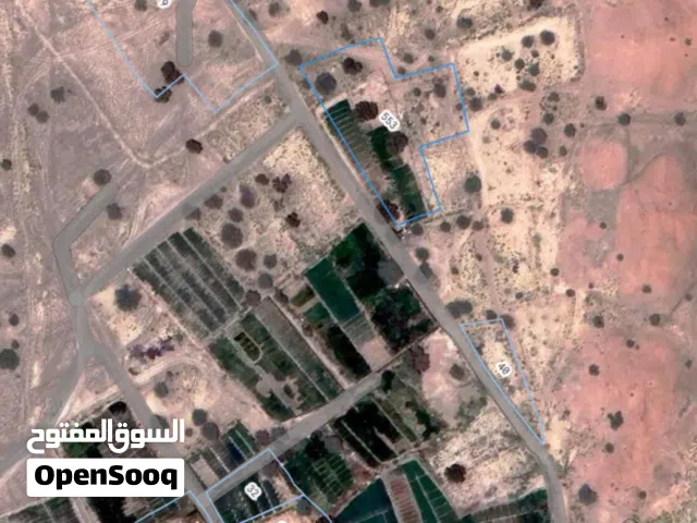 Farm Land for Sale in Al Sharqiya Al Mudaibi