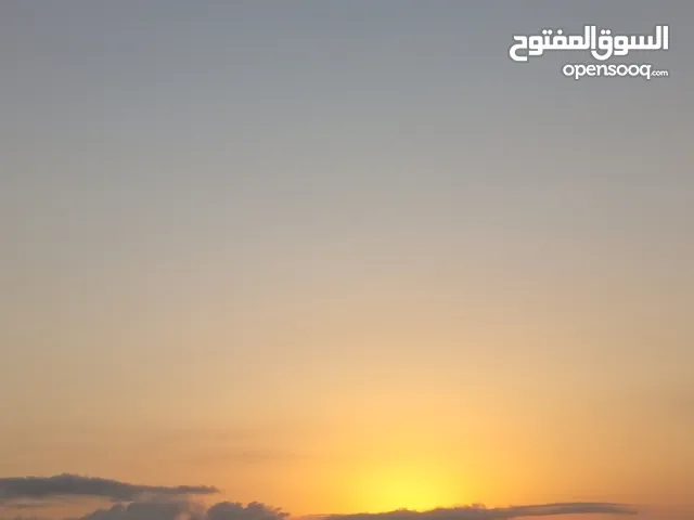 ارض للبيع في بيرزيت متوفر لها جميع الخدمات على شارع زفته مساحه 1244 متر مربع كوشان طابو تنازل مباشر