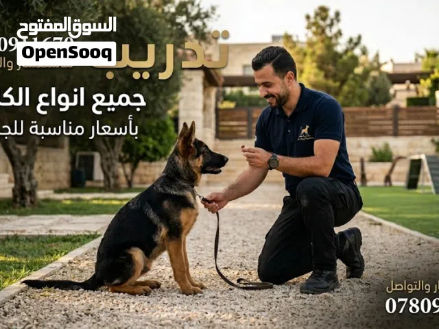 تدريب جميع انواع الكلاب باسعار مناسبه لجميع