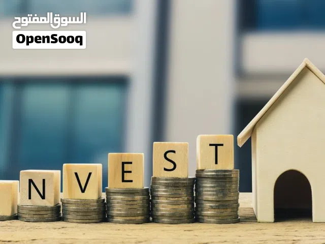 Investor With Capital Seeking Partner For A Joint Business Investment
