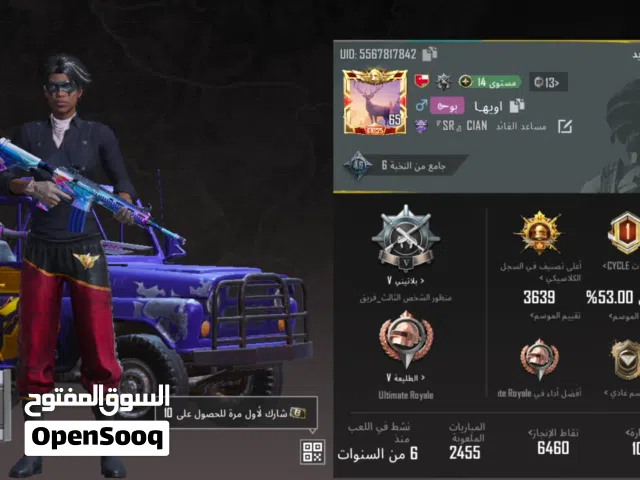 Pubg Accounts and Characters for Sale in Al Dhahirah