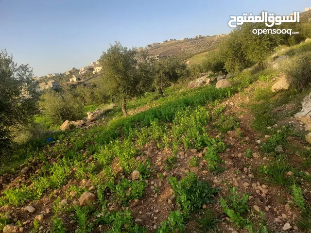 Mixed Use Land for Sale in Jerash Al-Mastaba