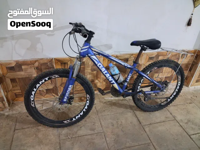 بسكليت جنط 24