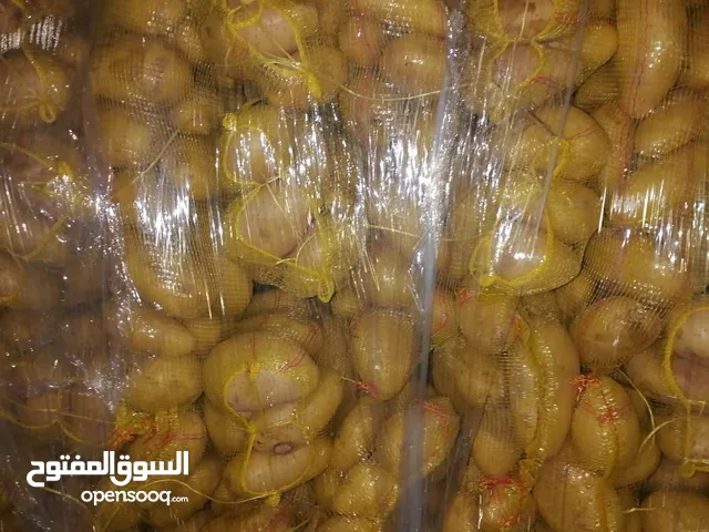 بطاطس سعودي من المزارع