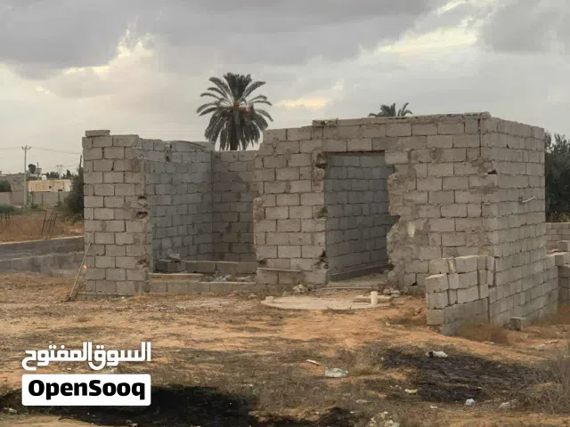 محمد العلواني