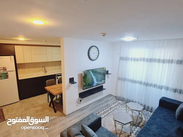 87m2 1 Bedroom Apartments for Rent in Erbil Sarbasti