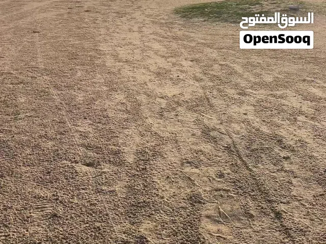 للبيع عزبة جاخور متكاملة وجاهزة بالبر فرصتك لامتلاك عزبة برية متكاملة الخدمات