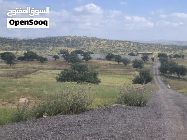 Mixed Use Land for Sale in Irbid Taybeh District