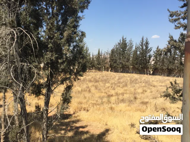 أرض للبيع تقع بين الشويفات والقرية الصغيرة