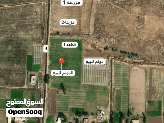 دوانم للبيع بأسعار مناسبة جداً للجميع تصلّح مزارع وشاليهات سكنية وايضاً تجارية تتوفر فيها كافة الح