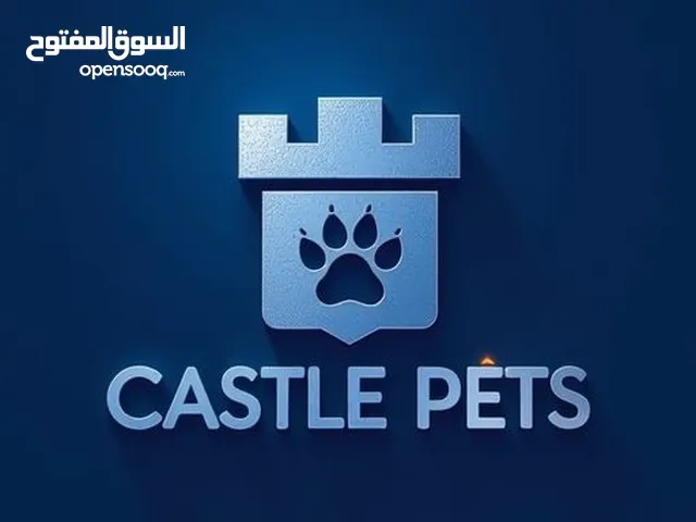 Castle pets shop