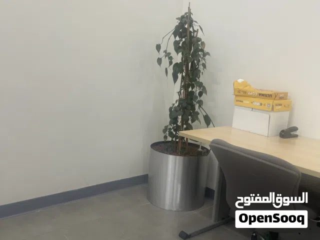 100 m2 3 Bedrooms Apartments for Rent in Farwaniya Reggai