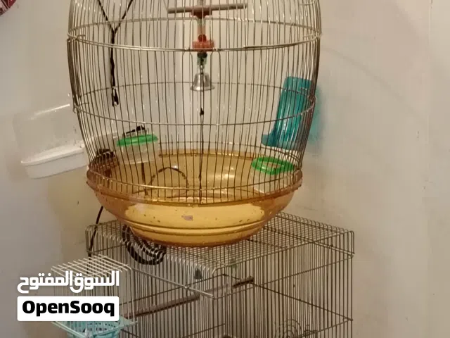 قفص ببغاء + قفص طيور