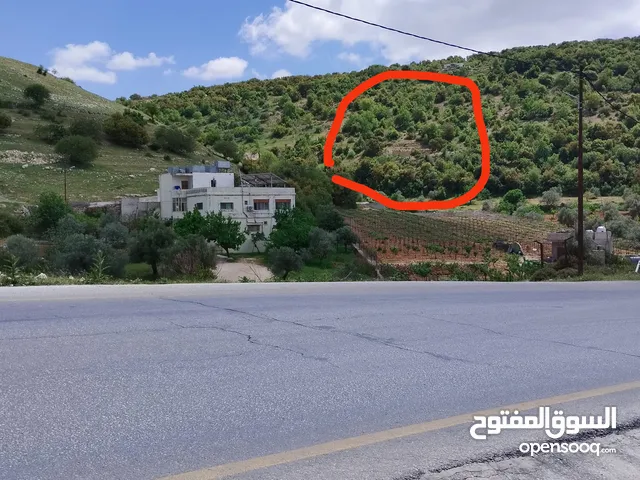 أرض مميزة مطلة على شارع عجلون-إربد الرئيسي موقع استثماري رائع