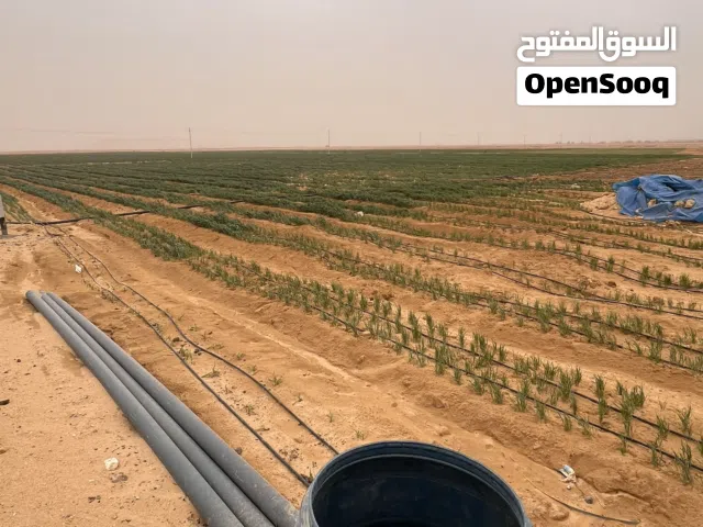 فرصة استثمارية استثنائية في قلب الحي السابع - مدينة العبور مزرعه 6 فدان للبيع