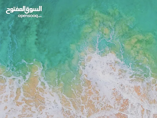 فله للبيع في حي عمان من شارع الزبيري ايجارات مرتفعه