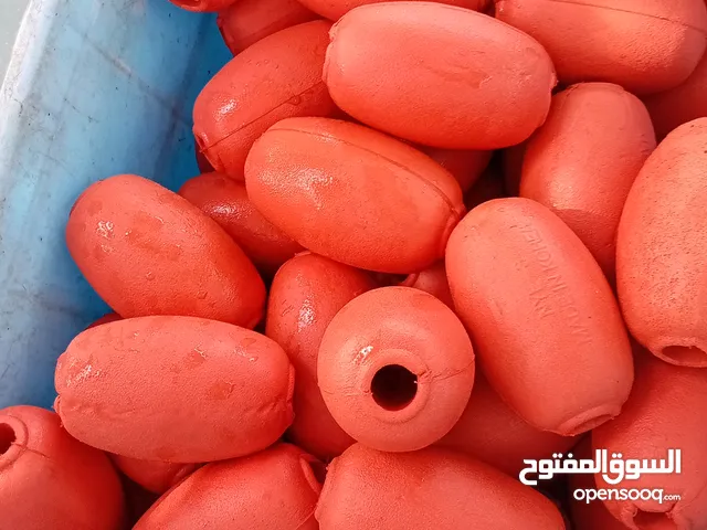 نشر كوري اصلي