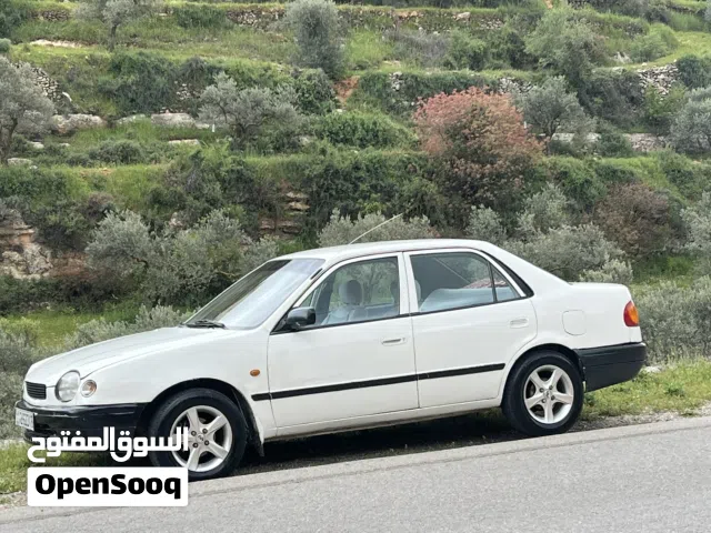 1999 Toyota Corolla Cross
