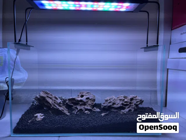 اكواريم مع اضائته للبيع