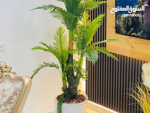 اطلب الان قبل نفاذ الكمية  شجرة النخيل السحرية بالحجم السوبر  جمال وأناقة تسرق الأنظار من أول نظرة