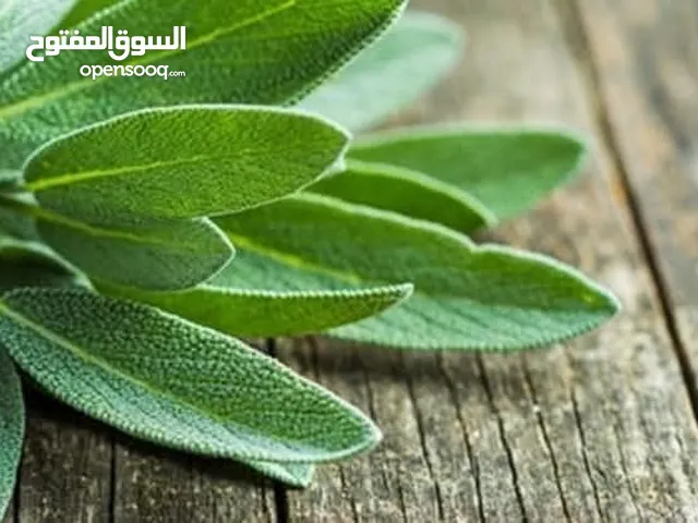 السلام عليكم متوفر ميرامية الضمة نصف دينار و الثلاثة بدينار أهلا وسهلا بالجميع
