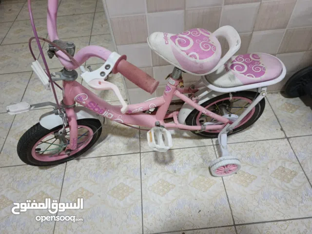 Kids Bicycle