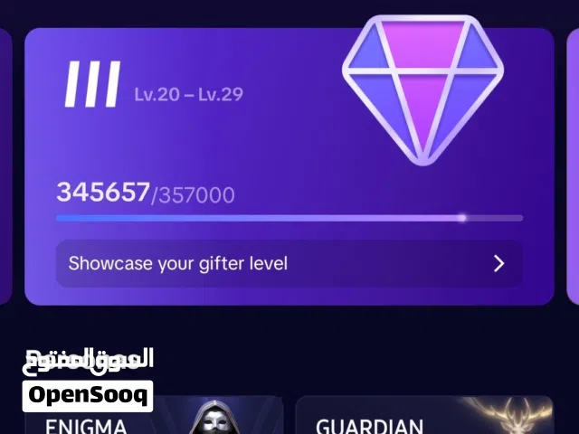 Gifter Level 27 Tik Tok Account for Sale
