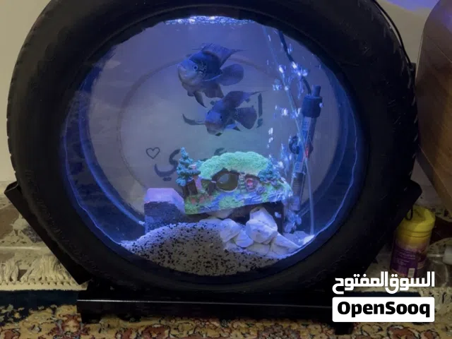 حوض اسماك مميز جدا اعتقد ومتاكد بس عندي