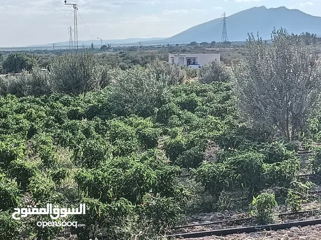 أرض فلاحية